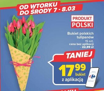 Carrefour Tulipany oferta