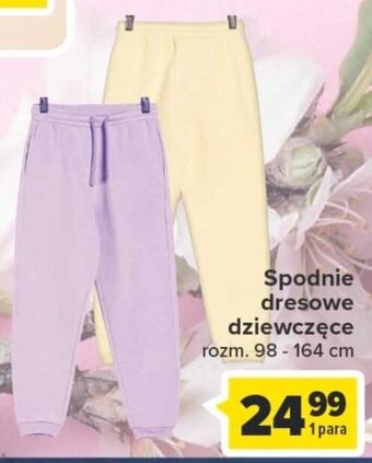 Carrefour Spodnie dresowe dziewczęce oferta