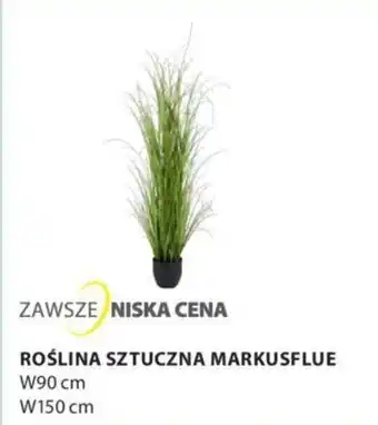JYSK Roślina sztuczna Markusflue W90cm/W150cm oferta