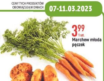 E.Leclerc Marchew młoda oferta