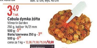 E.Leclerc Cebula dymka czerwona vilmorin garden oferta