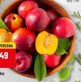 Polomarket Nektarynki oferta