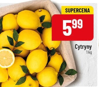 Polomarket Cytryna oferta