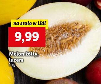 Lidl Melon żółty oferta