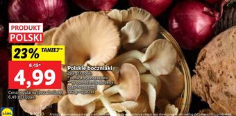 Lidl Boczniaki oferta