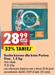 Biedronka Karma dla kota adult kurczak i pełne ziarna purina one oferta