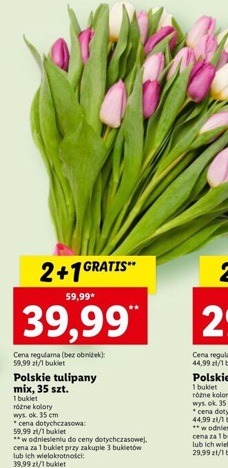 Lidl Tulipany 35 cm oferta