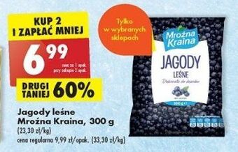 Biedronka Jagody leśne mroźna kraina oferta