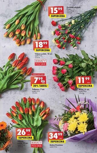 Biedronka Tulipany oferta