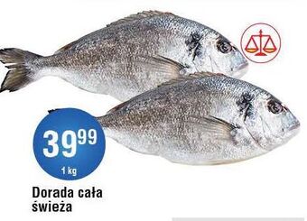 E.Leclerc Dorada cała oferta