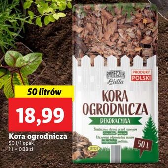 Kora ogrodnicza 50l