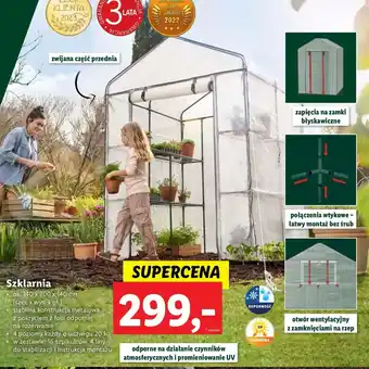 Lidl Szklarnia oferta