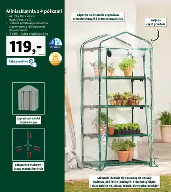 Lidl Miniszklarnia z 4 półkami wym. 69 x 49 160 cm oferta