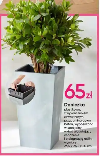 Pepco Doniczka 26.5 x 50 cm oferta