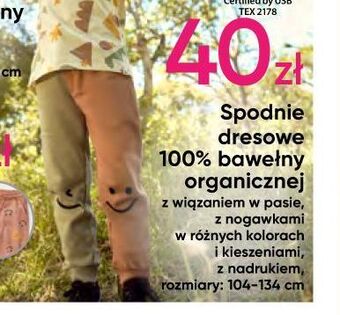 Pepco Spodnie dresowe chłopięce 104-134 cm oferta