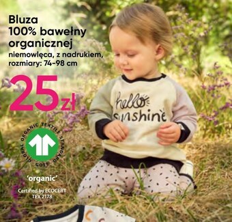 Pepco Bluza niemowlęca oferta