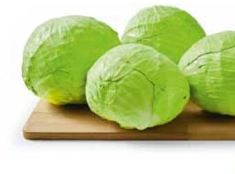 Stokrotka Kapusta biała oferta