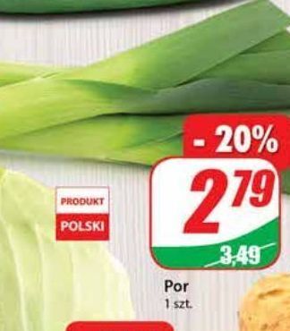 Dino Por oferta