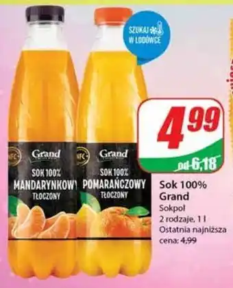 Dino Sok pomarańczowy grand oferta