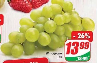 Dino Winogrona oferta