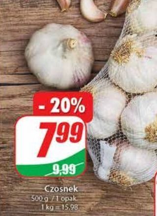 Dino Czosnek oferta