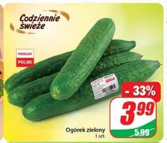 Dino Ogórek zielony oferta