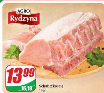 Dino Schab z kością agro rydzyna oferta