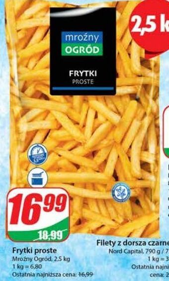 Dino Frytki proste mroźny ogród oferta