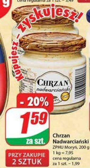 Dino Chrzan nadwarciański moryń oferta