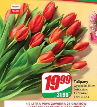Dino Tulipany 35 cm oferta