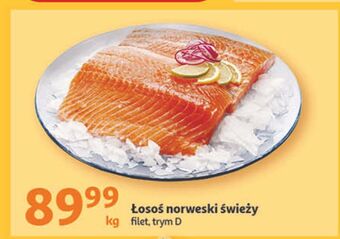 Auchan Łosoś norweski filet oferta