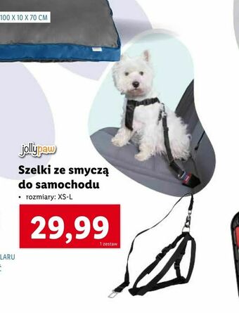 Szelki ze smyczą do samochodu
