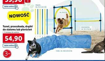 Lidl Tunel, przeszkoda, drążki do slalomu lub pierścień oferta
