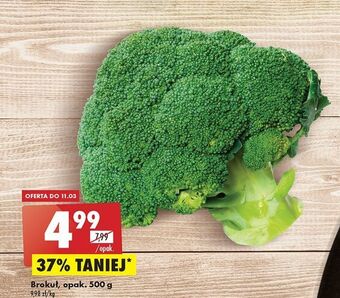 Biedronka Brokuł 500g oferta