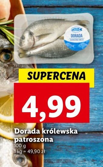 Lidl Dorada królewska patroszona oferta