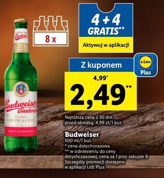 Lidl Piwo budweiser oferta