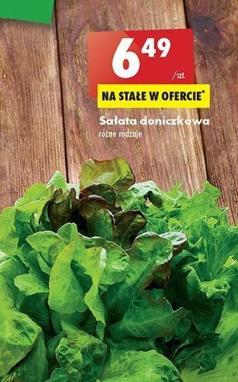 Biedronka Sałata oferta