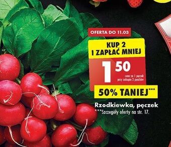 Biedronka Rzodkiewka oferta