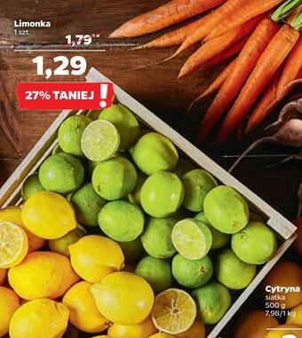 Netto Limonka oferta
