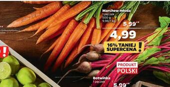 Netto Marchew młoda oferta