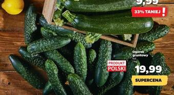 Netto Ogórek gruntowy oferta