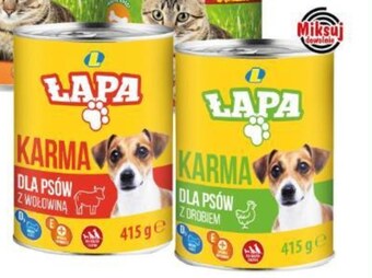 Lewiatan Karma dla kota lewiatan oferta