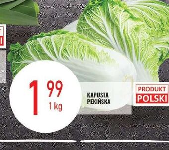 E.Leclerc Kapusta pekińska oferta