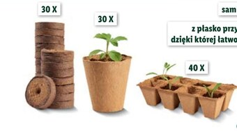 Lidl Doniczka oferta