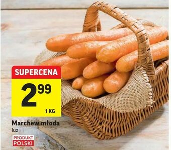 Intermarche Marchew młoda oferta