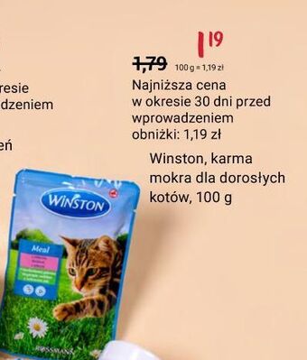 Rossmann Mokra karma dla kota winston oferta