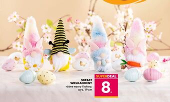 Dealz Skrzat wielkanocny oferta