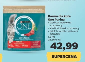 Netto Karma dla kota adult kurczak i pełne ziarna purina one oferta