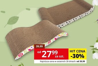 Kakadu Drapak dla kota magic cat oferta