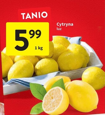 Intermarche Cytryna oferta